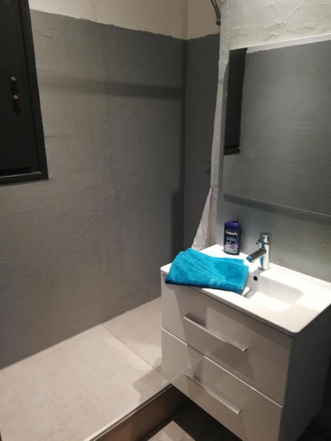 Chalet Insolite シャンベリ エクステリア 写真